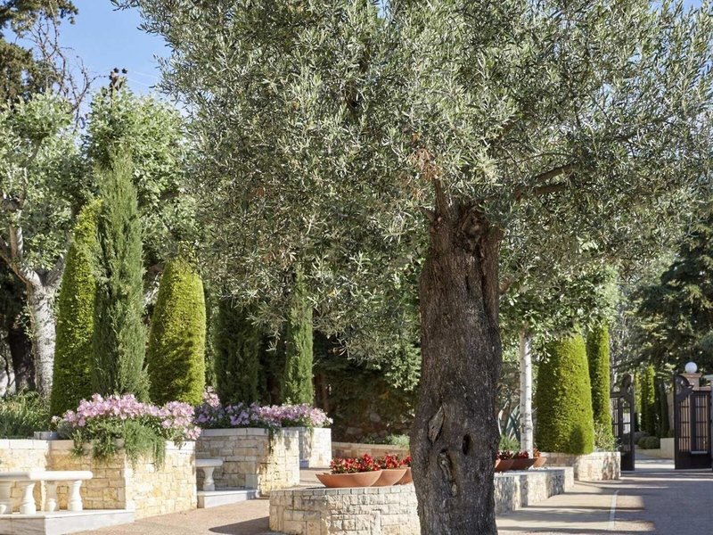 Danai Beach Resort & Villas 9