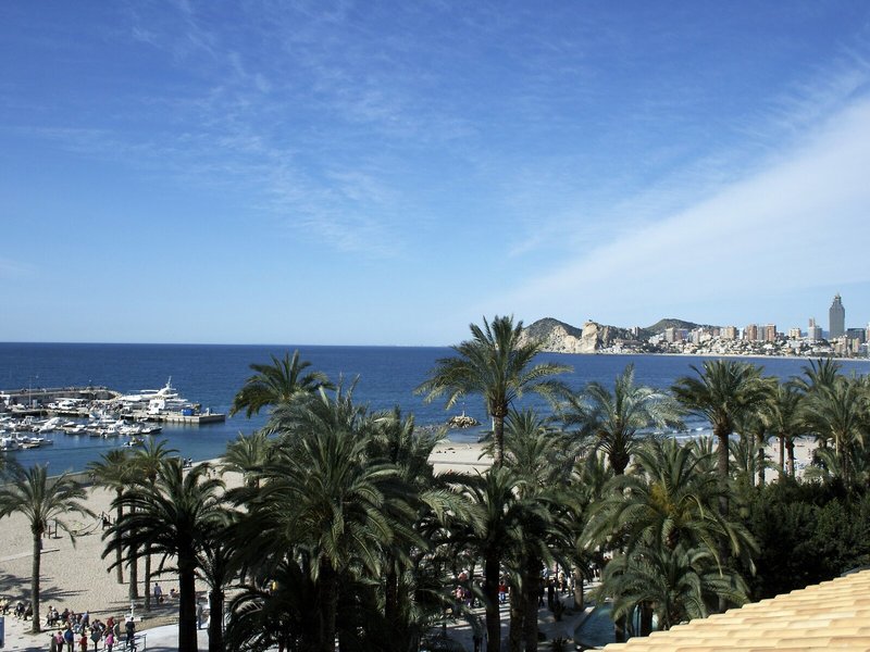 Milords Suites 6 - Landscape