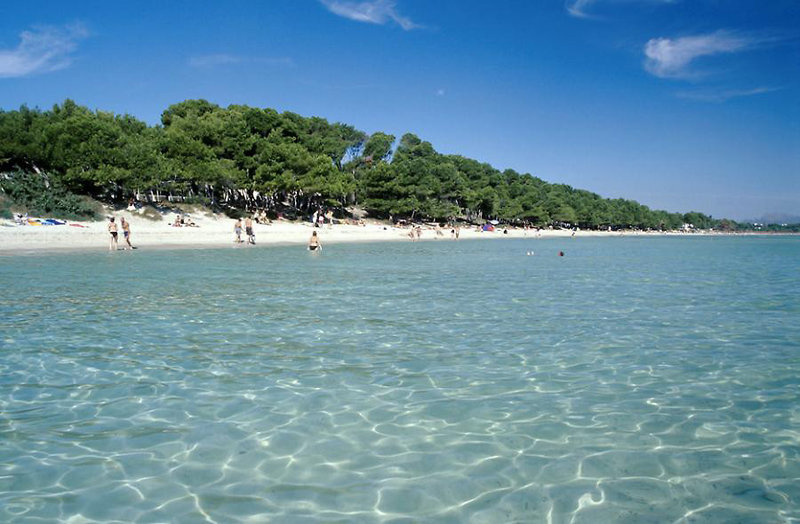 Apartamentos Siesta I 3