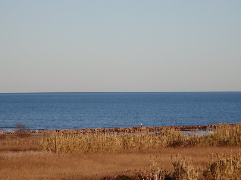 Flag Hotel Valencia-Florazar 6 - Beach
