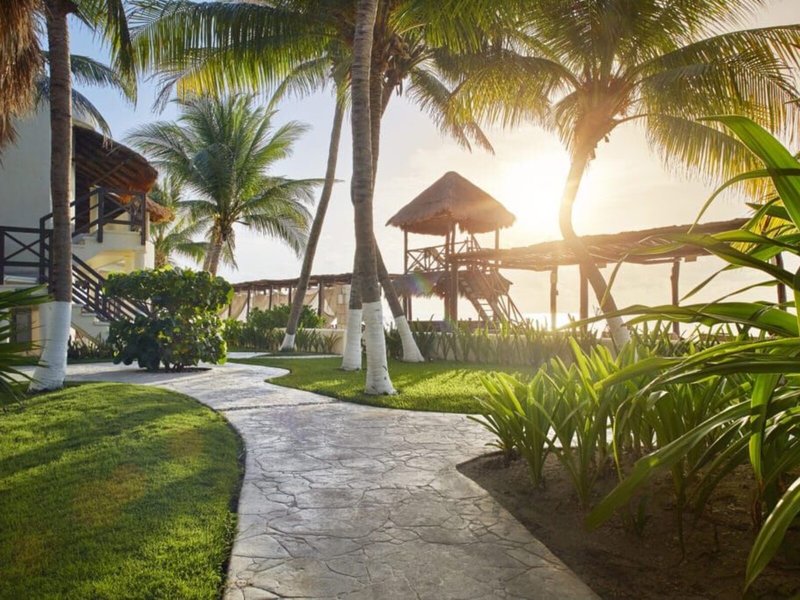 Desire Riviera Maya Resort 5