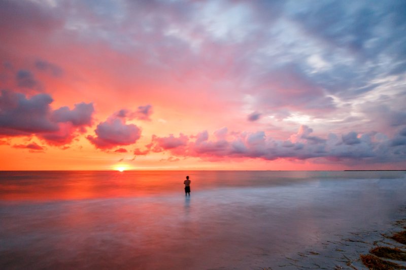 Sheraton Sand Key Resort 7