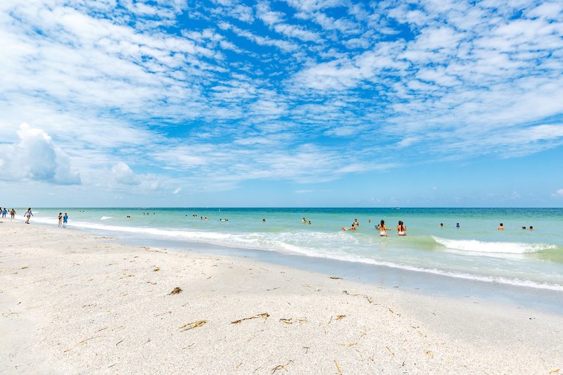 Sheraton Sand Key Resort 9