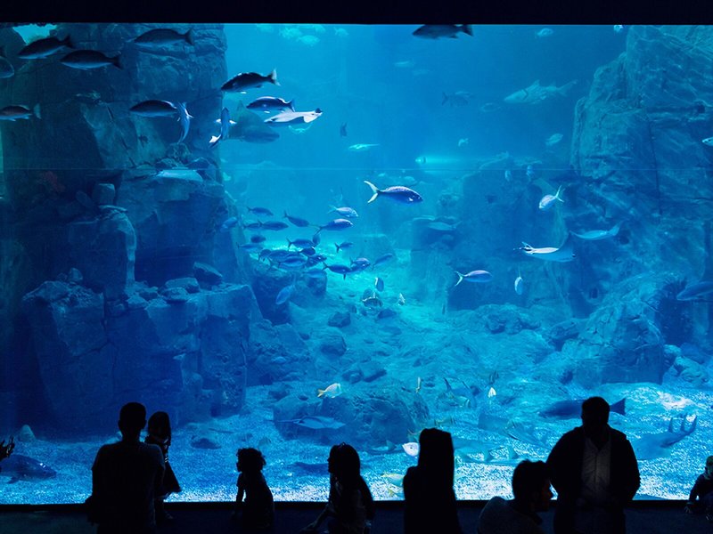 Crowne Plaza Istanbul Florya 4