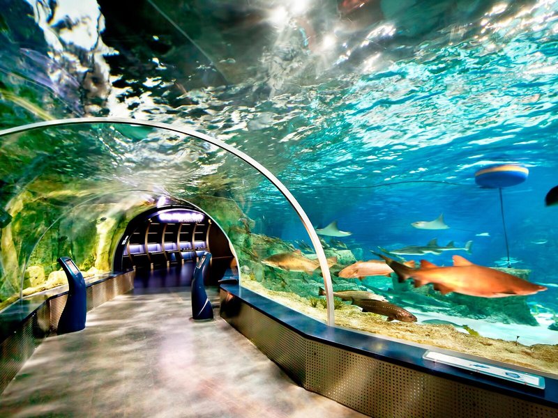 Crowne Plaza Istanbul Florya 15