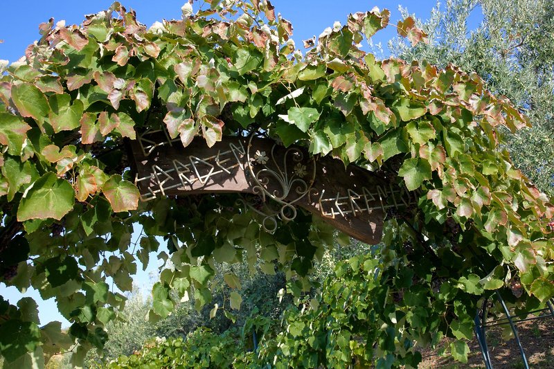Geranion Village 23