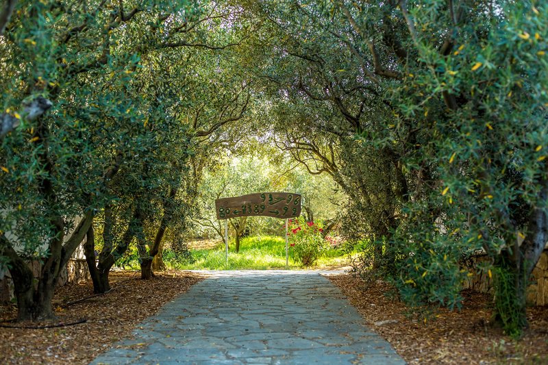 Geranion Village 25