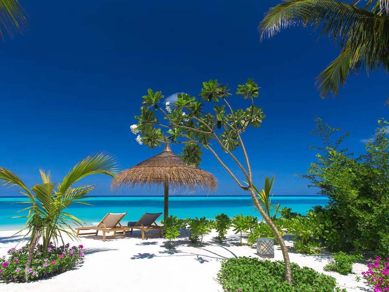 Ozen by Atmosphere at Maadhoo 12