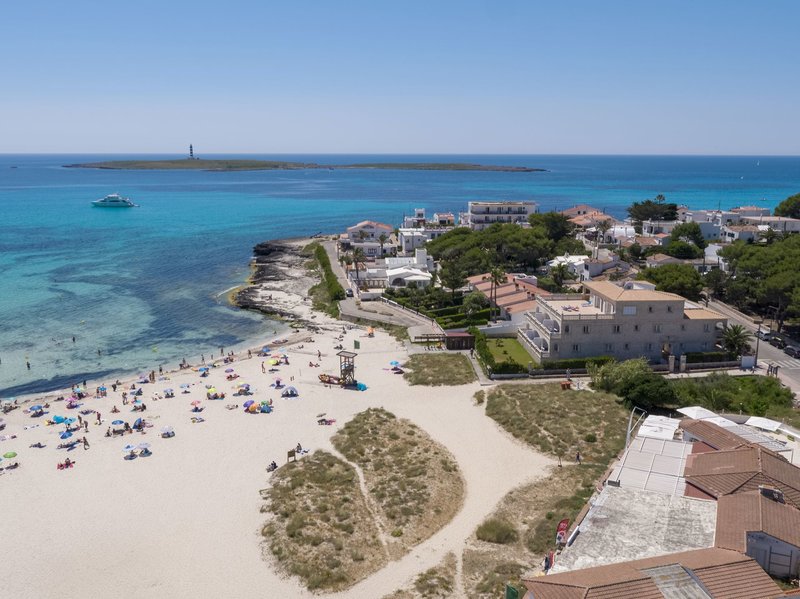 Comitas Isla del Aire 5
