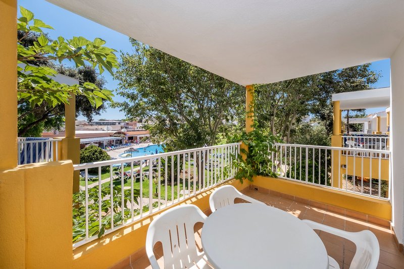 Comitas Isla del Aire 14