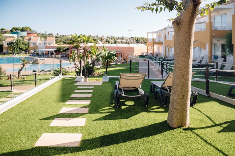 Comitas Isla del Aire 17