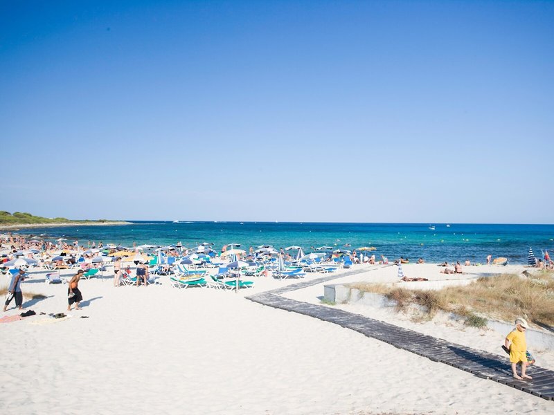 Comitas Isla del Aire 2