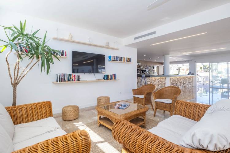 Comitas Isla del Aire 6