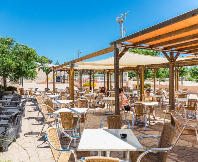 Comitas Isla del Aire 12