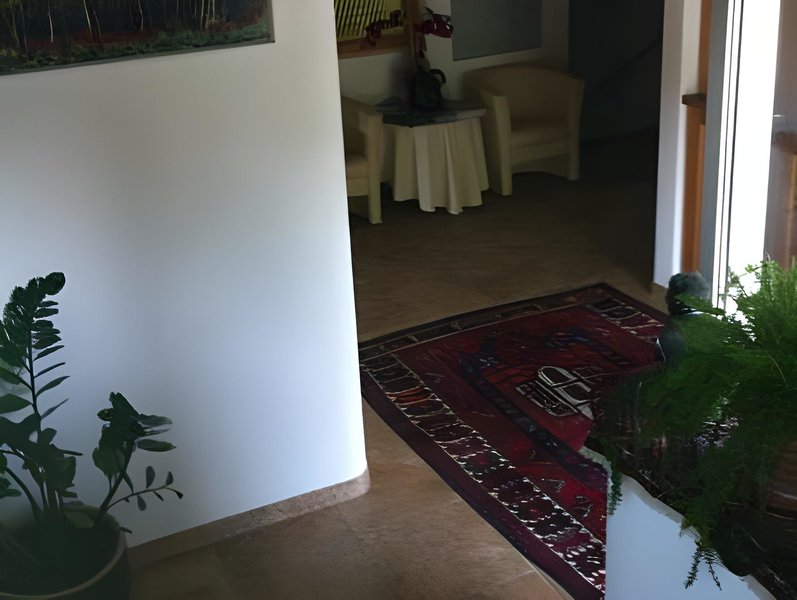 Hotel Pizzeria Selva 3