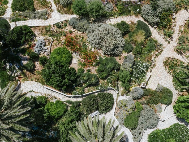 Nissi Beach Resort 20