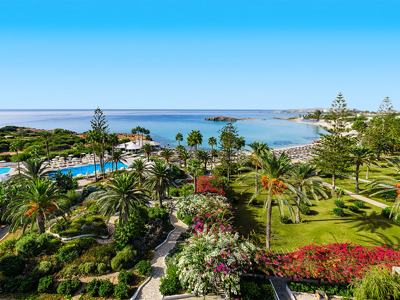 Nissi Beach Resort 6