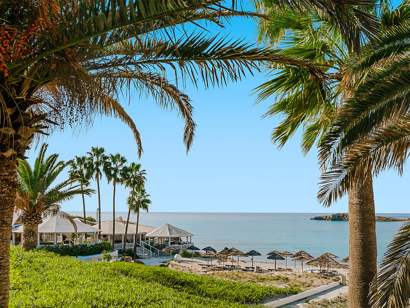 Nissi Beach Resort 7