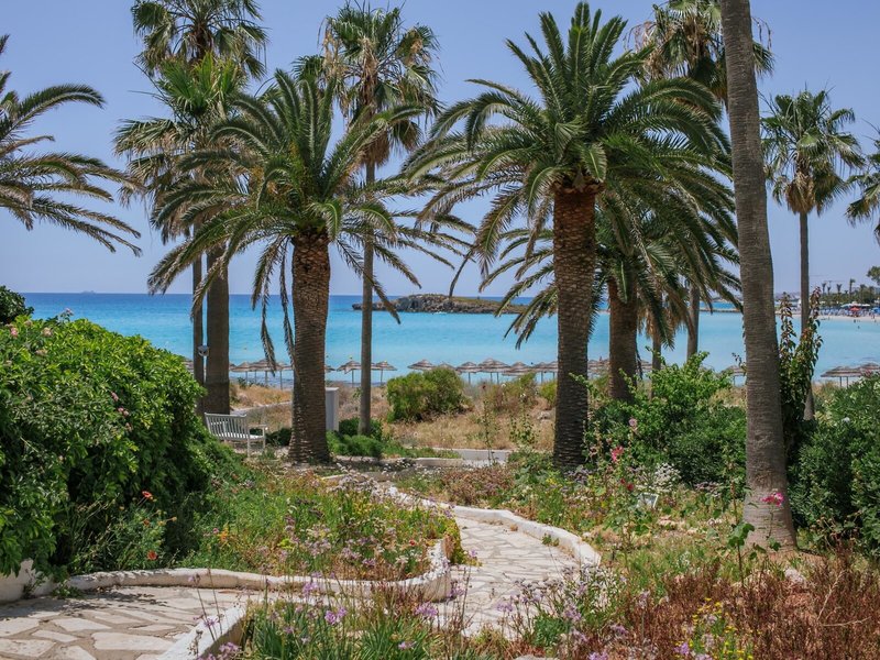 Nissi Beach Resort 18