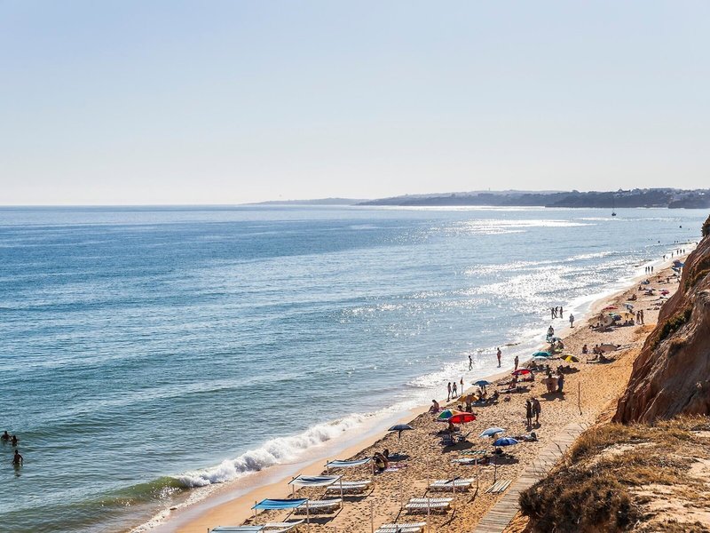 The Patio Suite Hotel 4