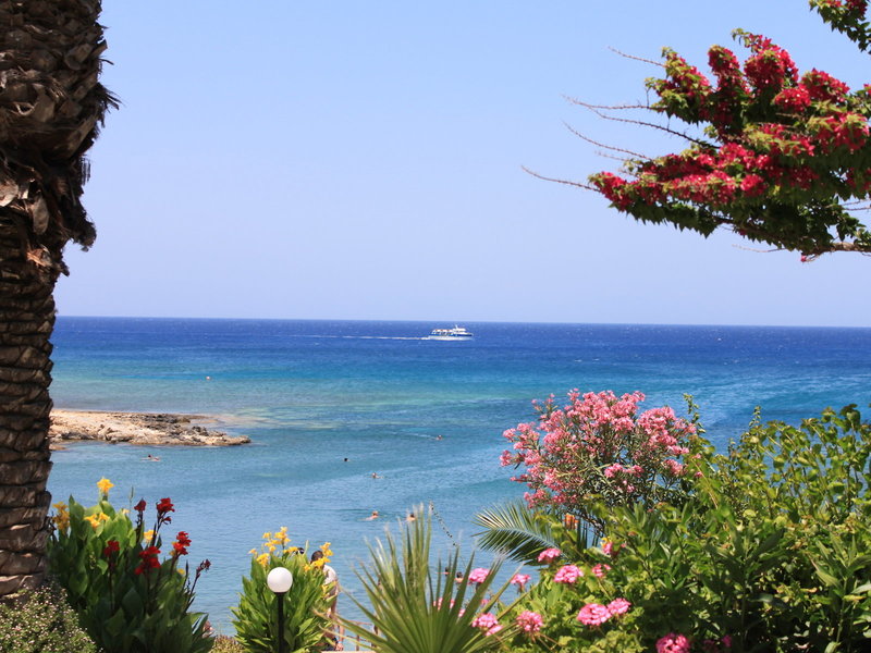 Crystal Springs Beach Hotel 3