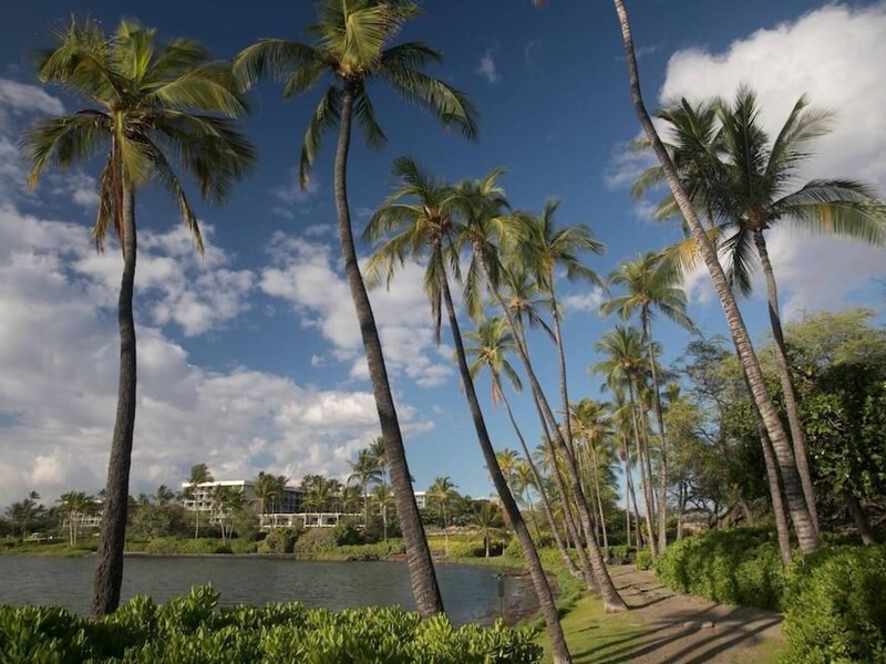 Waikoloa Beach Marriott Resort & Spa 6