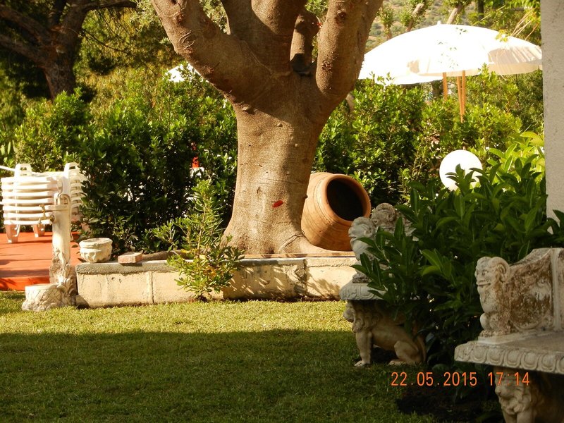 Villa Collina 7
