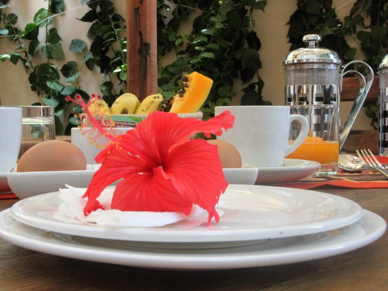 Shaba Boutique Hotel 15 - Restaurant