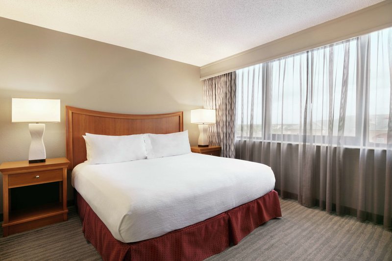 Embassy Suites by Hilton Orlando International Drive ICON Park 31