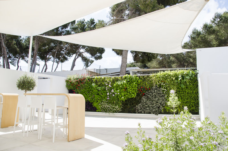 Hotel Anfora Ibiza 17