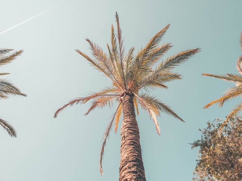 Ibiza Rocks Hotel - Erwachsenenhotel 4 - Landscape