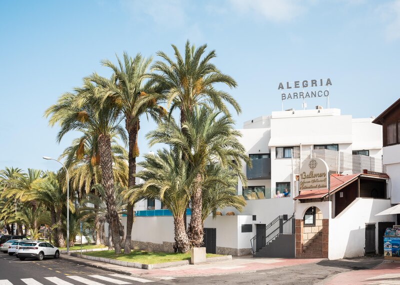 ALEGRIA Barranco 8