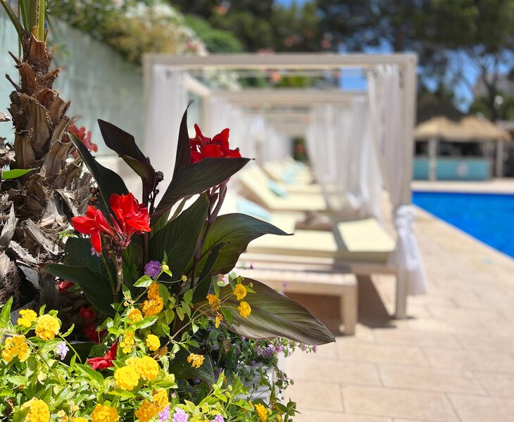 INN Mallorca Aparthotel 60