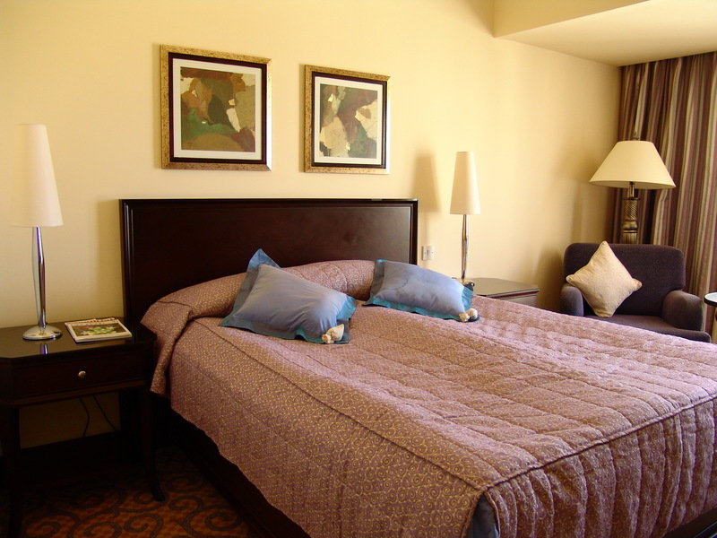 The Arkin Colony Hotel 2