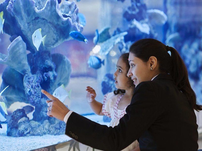 Taj Santacruz, Mumbai 17