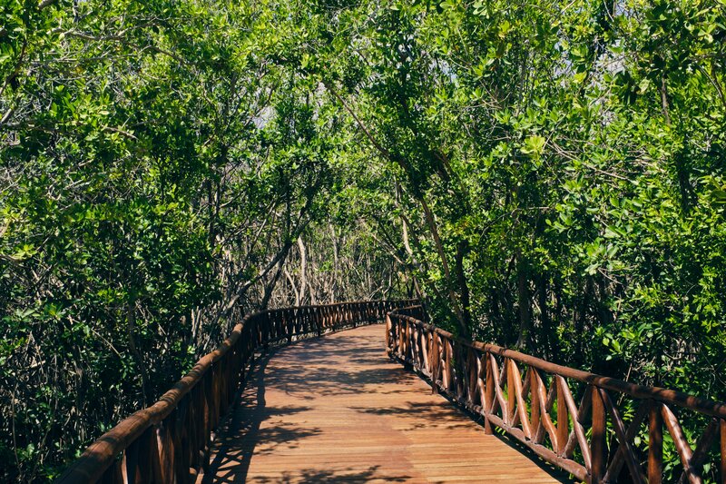 Iberostar Selection Paraíso Maya Suites 53