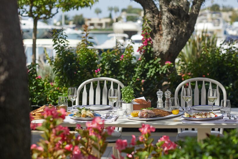 Sani Club 272
