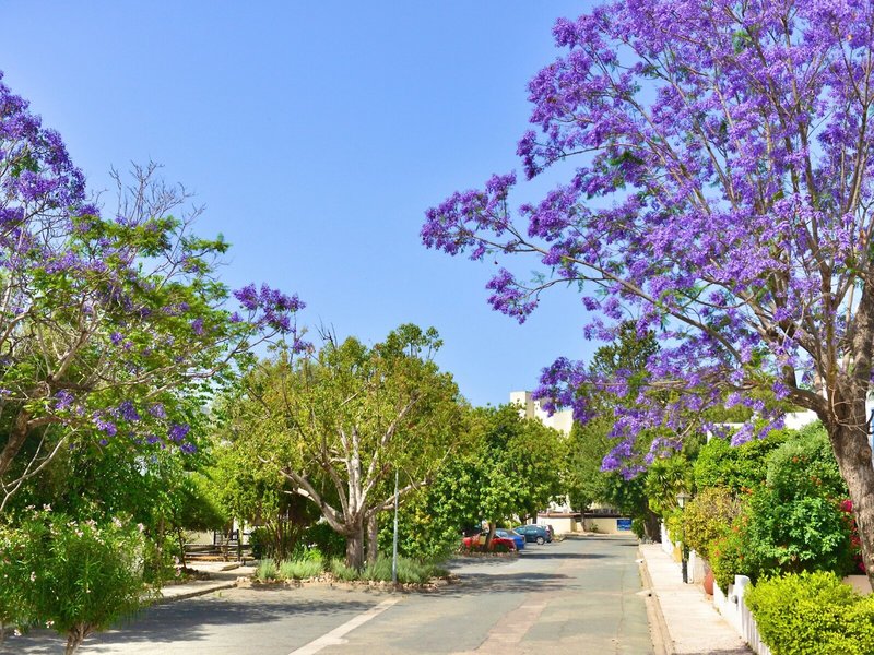 Paphos Gardens Holiday Resort 7
