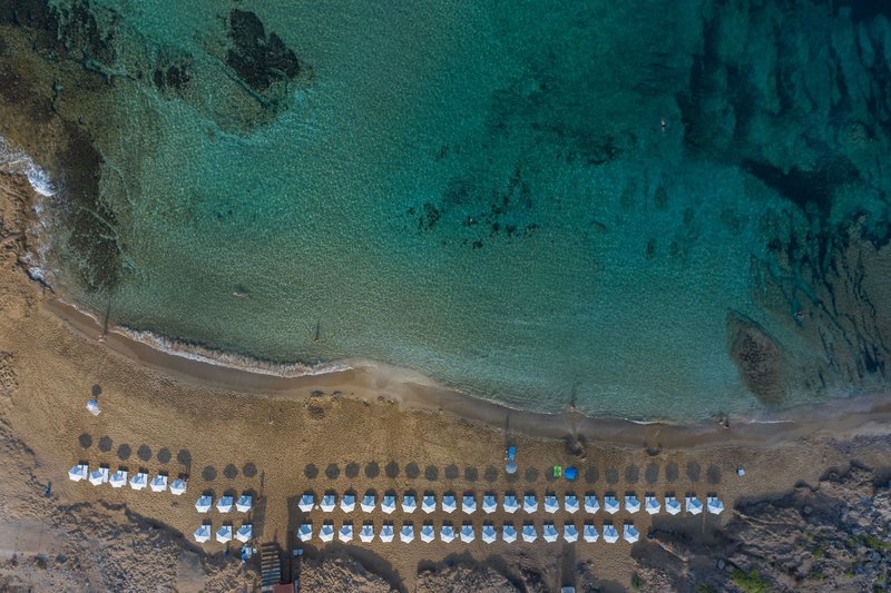 Venus Beach 3
