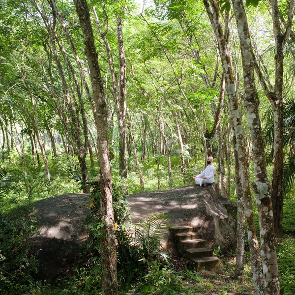 Plantation Villa 6