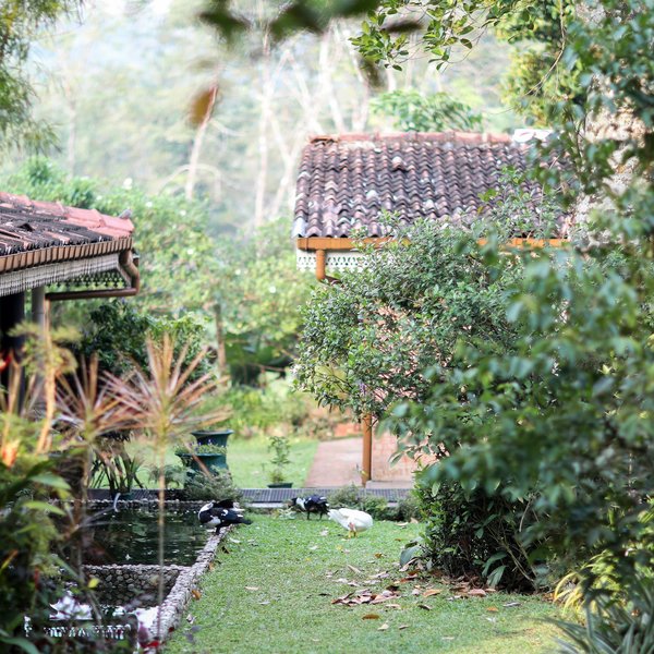 Plantation Villa 10