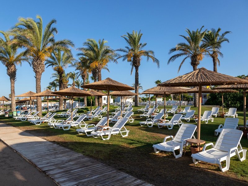 Miracle Resort 4