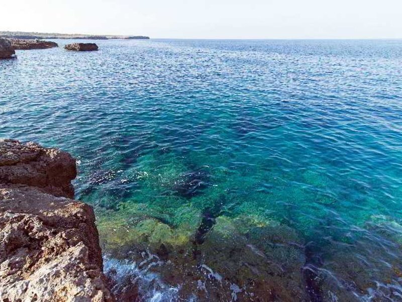 Apartamentos Mar Blanca 6