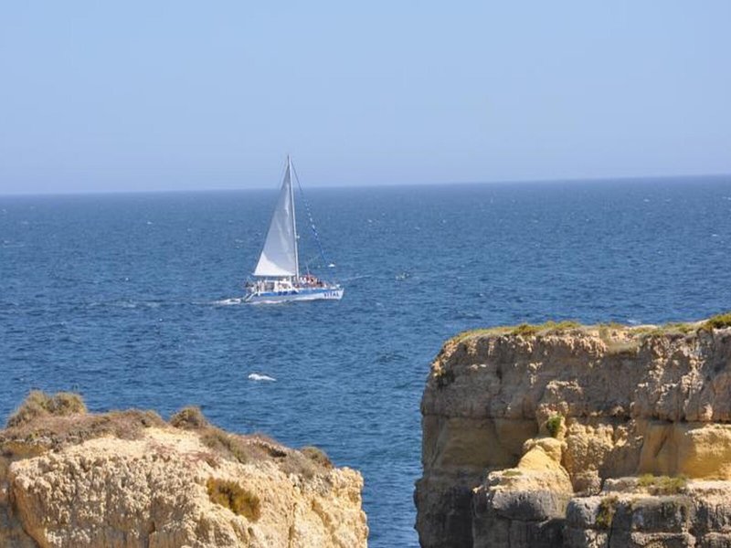 Cheerfulway Minichoro 6