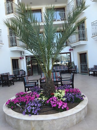 Pasa Garden Beach Hotel 9