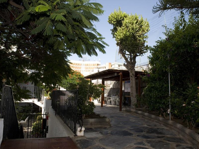 Las Orquideas 3