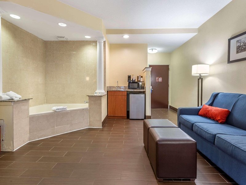 Comfort Suites Newark - Harrison 10