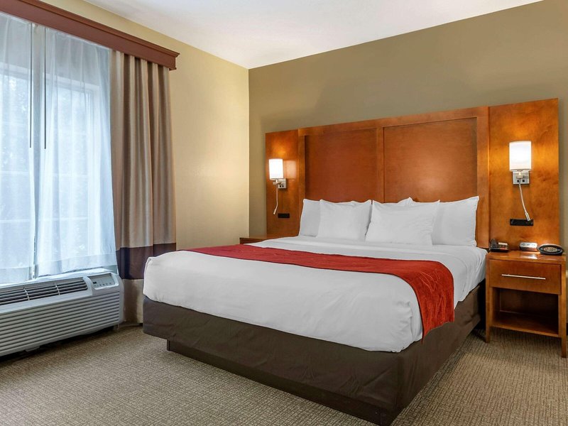 Comfort Suites Newark - Harrison 24