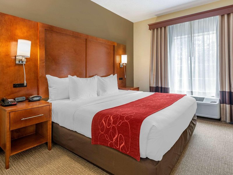 Comfort Suites Newark - Harrison 26