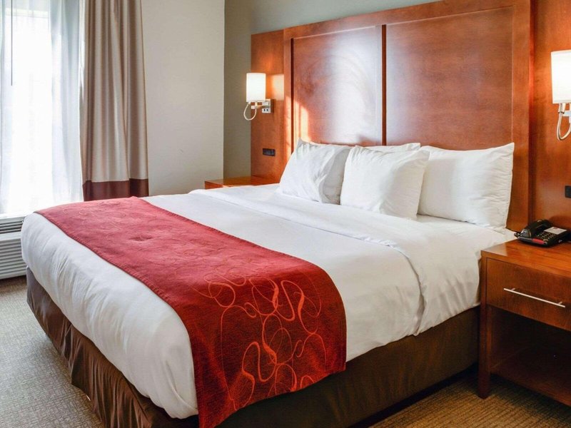 Comfort Suites Newark - Harrison 28